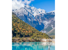 化妆师围栏平价品牌排行榜(化妆师围栏平价品牌排行榜前十名)