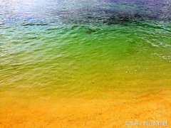 海南化妆水推荐品牌排行榜(海南必买的化妆品)