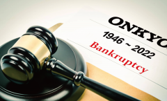 日本破产化妆品牌排行榜(日本本土品牌化妆品排行)