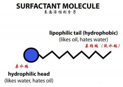 国外水下化妆品牌排行榜(国外化妆品排行榜前十名)