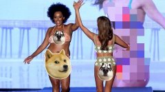 欧美游泳化妆品牌排行榜(世界游泳品牌十大)