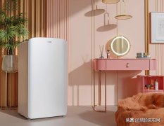 品牌化妆品冰箱排行榜(化妆品冰箱推荐)