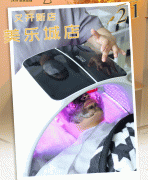 邯郸化妆品排行榜品牌大全(邯郸地区化妆品生产基地)