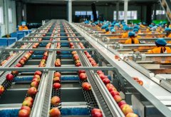 酸甜水果化妆品牌排行榜(酸性水果有哪些品牌)