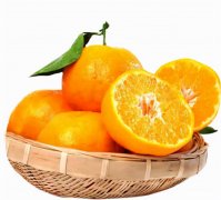 绿叶化妆品品牌香水排行榜(绿叶化妆品品牌香水排行榜新)