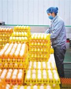 福建化妆品喷码机品牌排行榜(喷码机十大品牌)