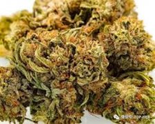 韩国化妆师发胶品牌排行榜(世界发胶品牌排行榜)