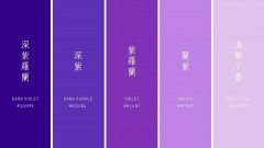 美国紫色化妆品牌排行榜(美国紫色化妆品牌排行榜新)