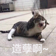 化妆品牌子排行榜身体乳(品牌身体乳排名)