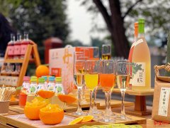 丹棱化妆品牌排行榜前十(什么丹的化妆品牌)