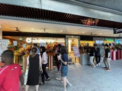 化妆柜新加坡品牌排行榜(企业社保交20年退休工资是多少)