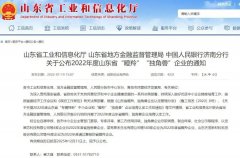 山东隐形化妆品牌排行榜(山东美妆护肤品牌)