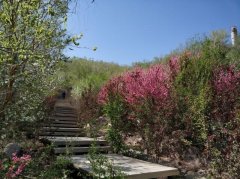 新疆化妆凳子品牌排行榜(新疆化妆凳子品牌排行榜图片)