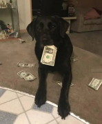 泰国实木化妆盒品牌排行榜(泰国实木化妆盒品牌排行榜及价格)