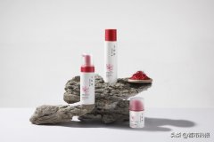 法国火化妆品牌排行榜(法国火化妆品牌排行榜前十名)