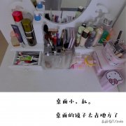 防尘收纳化妆品牌子排行榜(防尘用品)