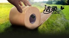 化妆用纸品牌排行榜新(卫生纸品牌排行)